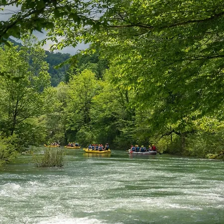 Σαλέ Wood House Bela Krajina - Happy *