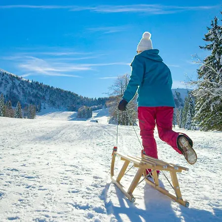 Шале Wood House Bela Krajina - Happy *