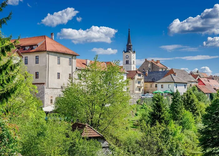 Wood House Bela Krajina - Happy * Dragatus