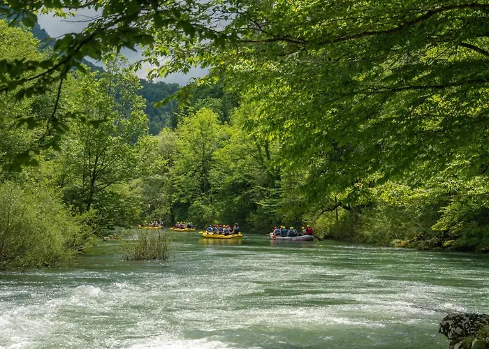 Chalet Wood House Bela Krajina - Happy *