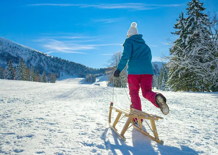 Chalet Wood House Bela Krajina - Happy *